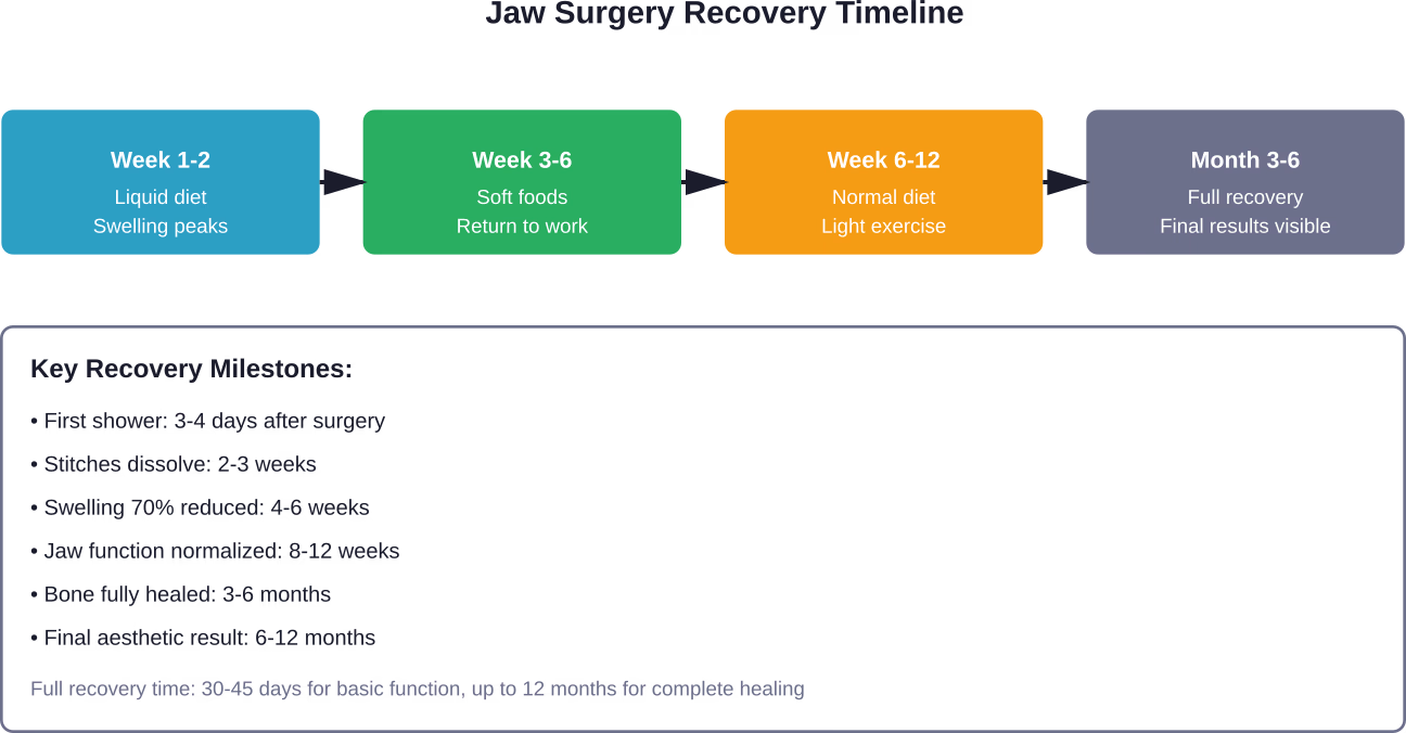 Complete recovery timeline showing progression from liquid diet through full healing over 3-12 months
