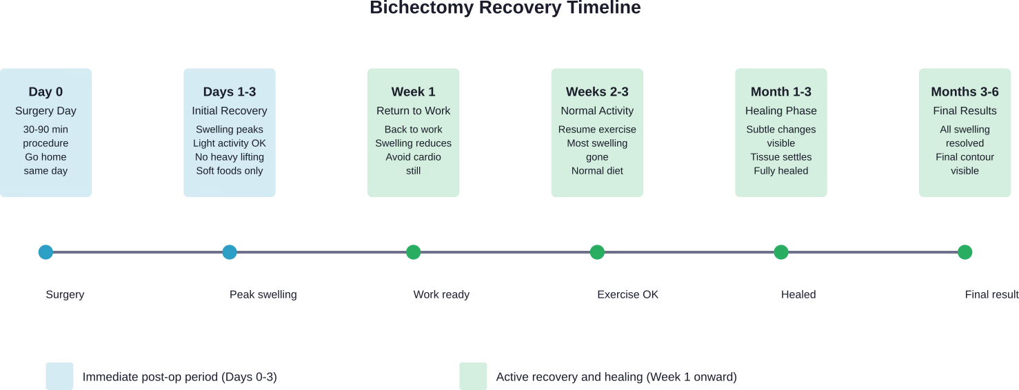 Timeline showing the bichectomy recovery stages from surgery day through final results at 3-6 months
